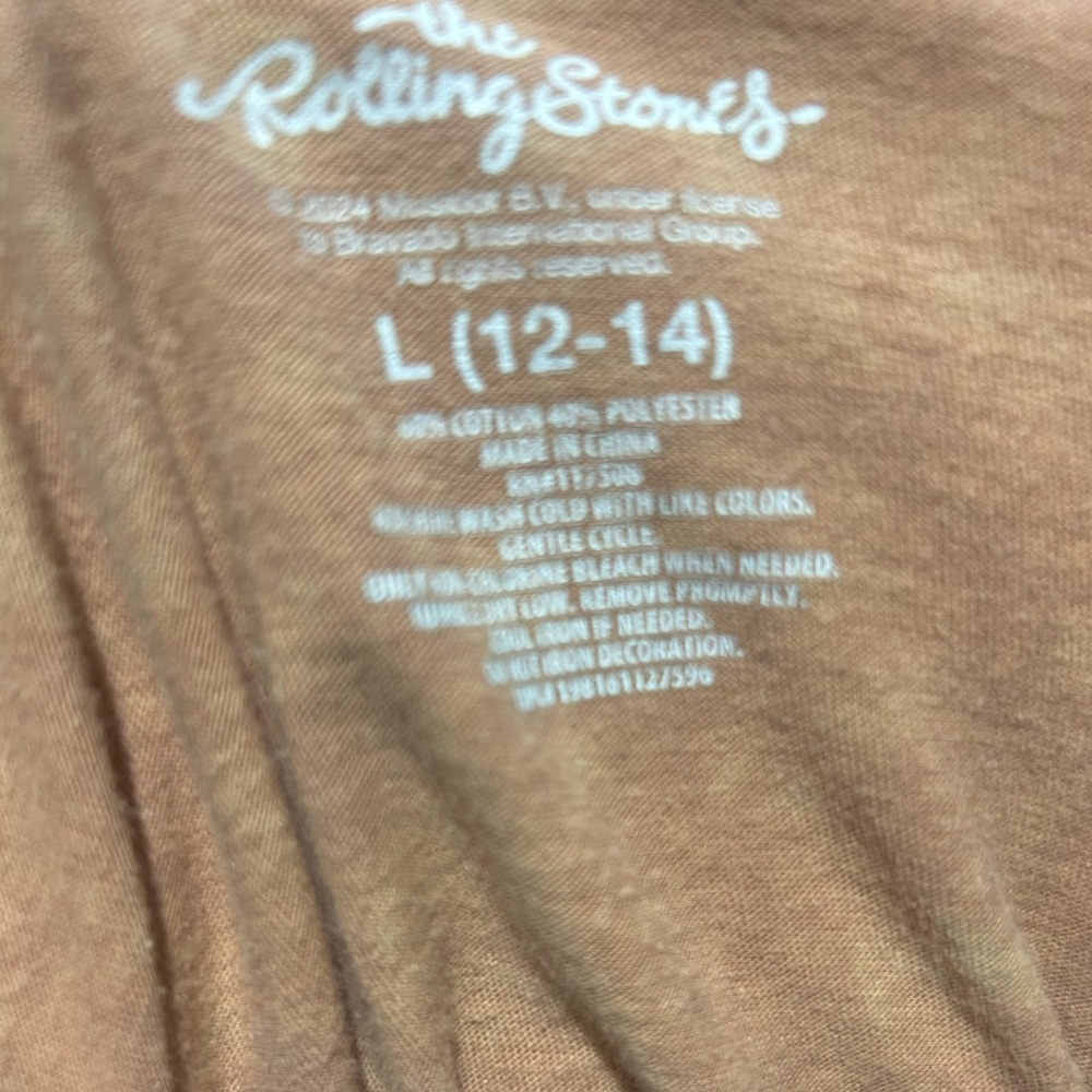 The Rolling Stones Brown Graphic Tee - Picture 4 of 4